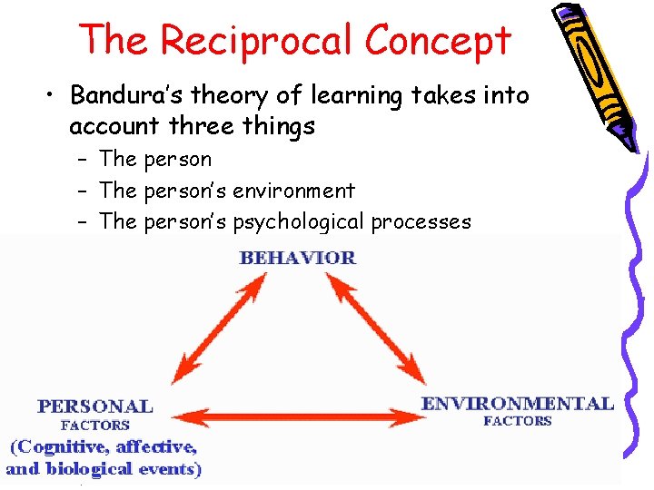 The Reciprocal Concept • Bandura’s theory of learning takes into account three things –