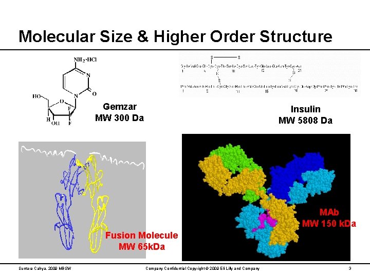 Molecular Size & Higher Order Structure Gemzar MW 300 Da Insulin MW 5808 Da