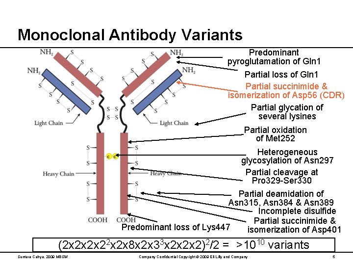 Monoclonal Antibody Variants Predominant pyroglutamation of Gln 1 Partial loss of Gln 1 Partial