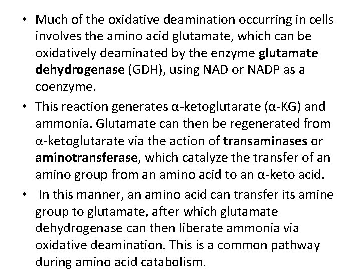  • Much of the oxidative deamination occurring in cells involves the amino acid