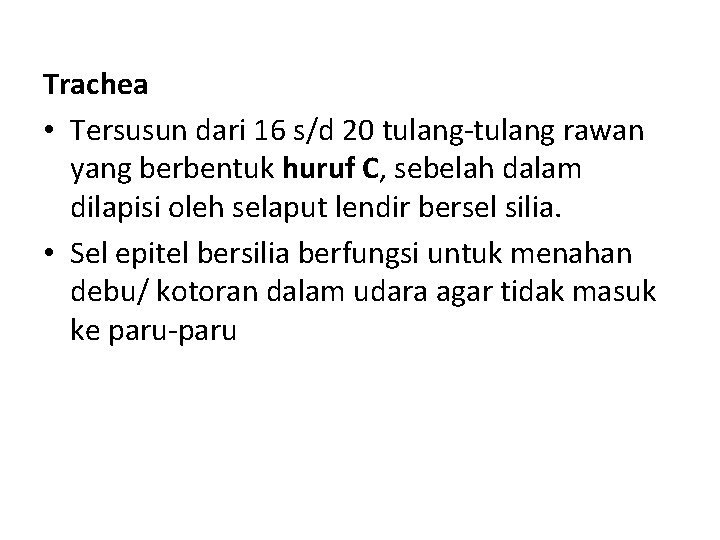 Trachea • Tersusun dari 16 s/d 20 tulang-tulang rawan yang berbentuk huruf C, sebelah