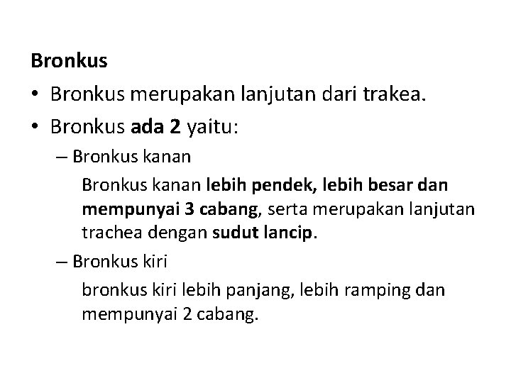 Bronkus • Bronkus merupakan lanjutan dari trakea. • Bronkus ada 2 yaitu: – Bronkus