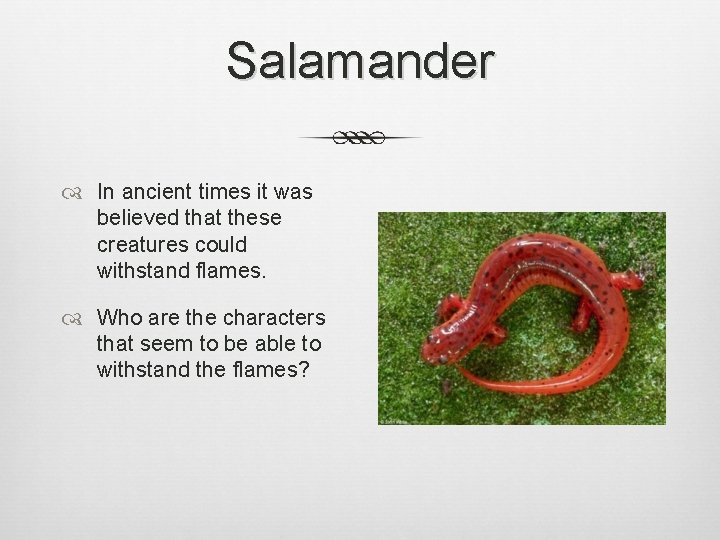 Salamander In ancient times it was believed that these creatures could withstand flames. Who