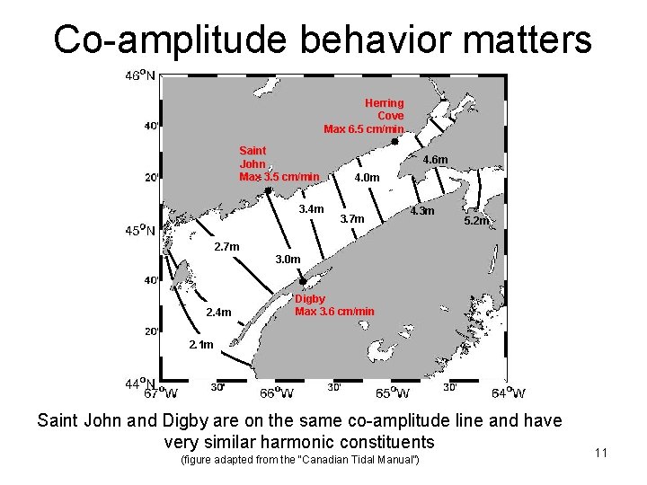 Co-amplitude behavior matters Herring Cove Max 6. 5 cm/min Saint John Max 3. 5