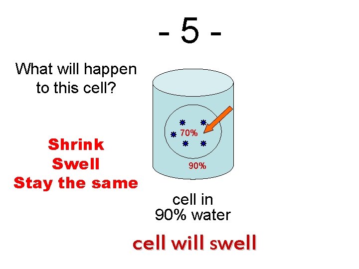 -5 What will happen to this cell? Shrink Swell Stay the same 70% 90%