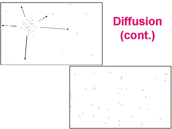 Diffusion (cont. ) 