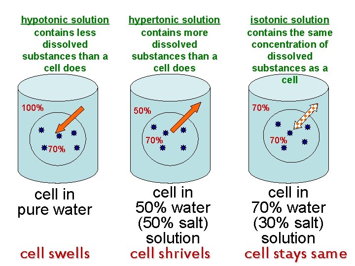 hypotonic solution contains less dissolved substances than a cell does 100% hypertonic solution contains