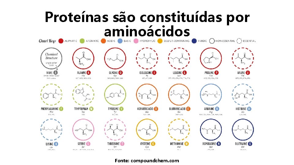 Proteínas são constituídas por aminoácidos Fonte: compoundchem. com 