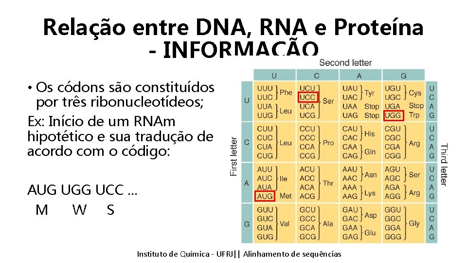 Relação entre DNA, RNA e Proteína - INFORMAÇÃO • Os códons são constituídos por