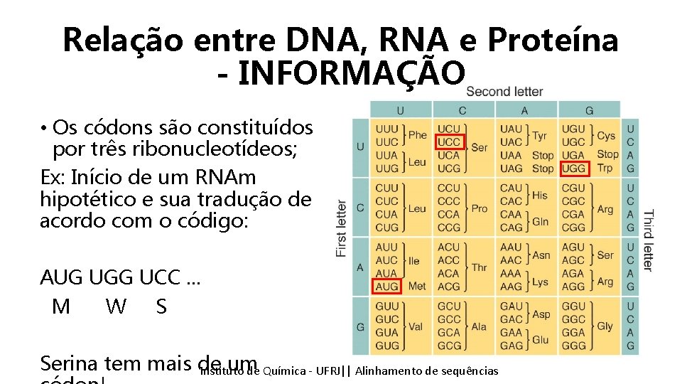 Relação entre DNA, RNA e Proteína - INFORMAÇÃO • Os códons são constituídos por