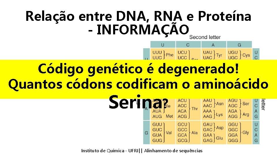 Relação entre DNA, RNA e Proteína - INFORMAÇÃO Código genético é degenerado! Quantos códons