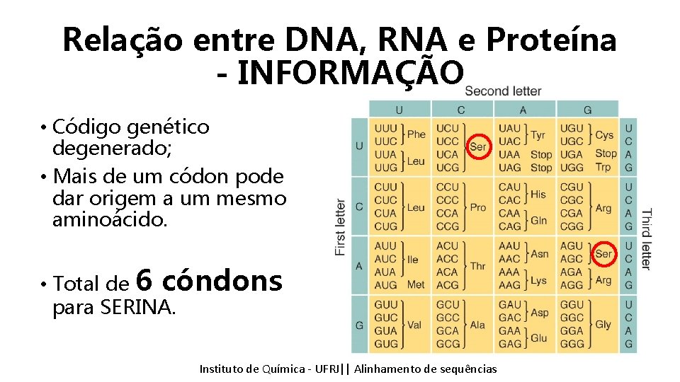 Relação entre DNA, RNA e Proteína - INFORMAÇÃO • Código genético degenerado; • Mais