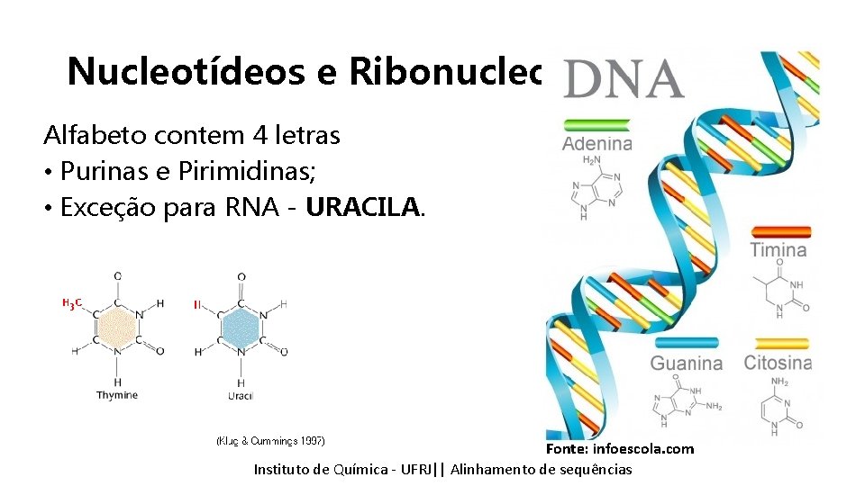 Nucleotídeos e Ribonucleotídeos Alfabeto contem 4 letras • Purinas e Pirimidinas; • Exceção para