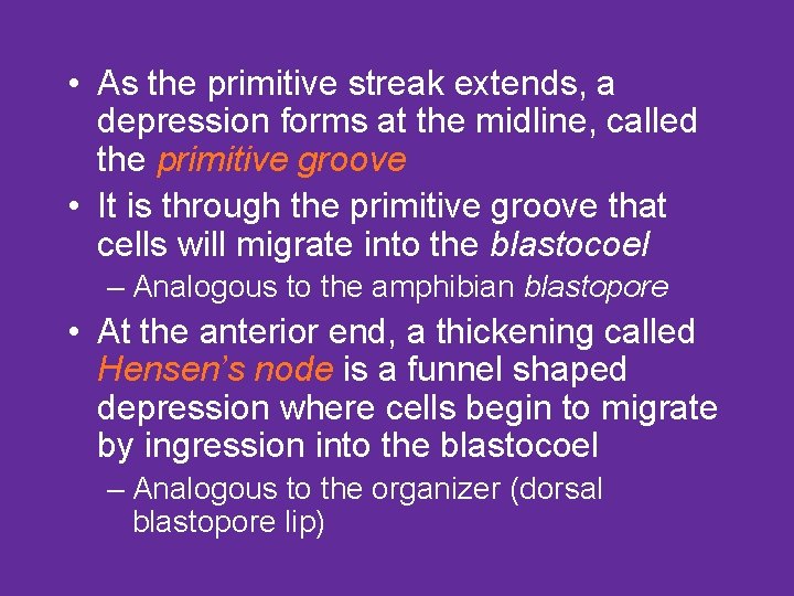  • As the primitive streak extends, a depression forms at the midline, called