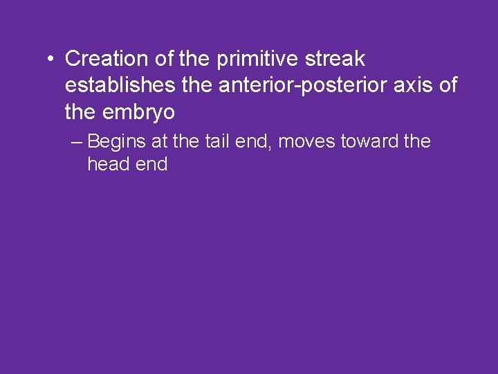  • Creation of the primitive streak establishes the anterior-posterior axis of the embryo
