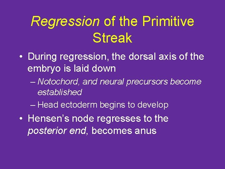 Regression of the Primitive Streak • During regression, the dorsal axis of the embryo