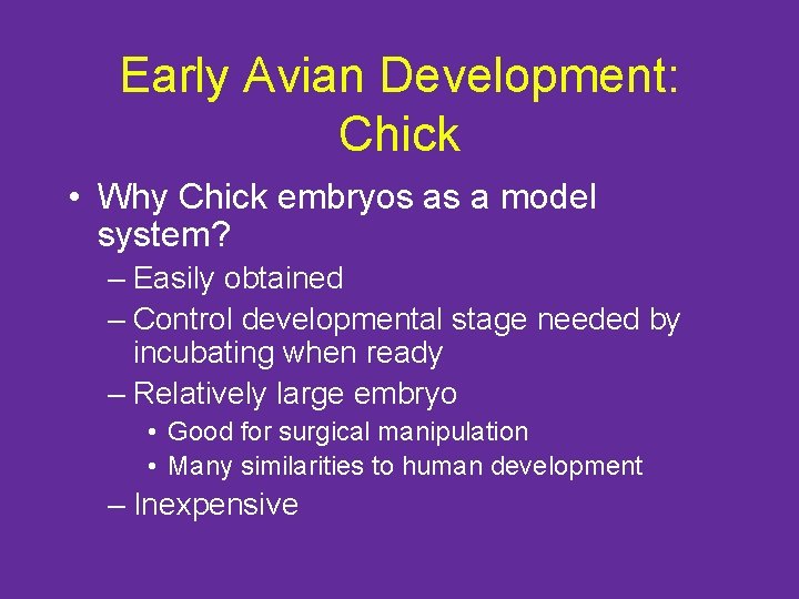 Early Avian Development: Chick • Why Chick embryos as a model system? – Easily