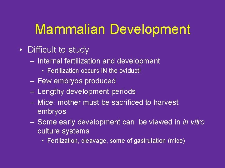 Mammalian Development • Difficult to study – Internal fertilization and development • Fertilization occurs
