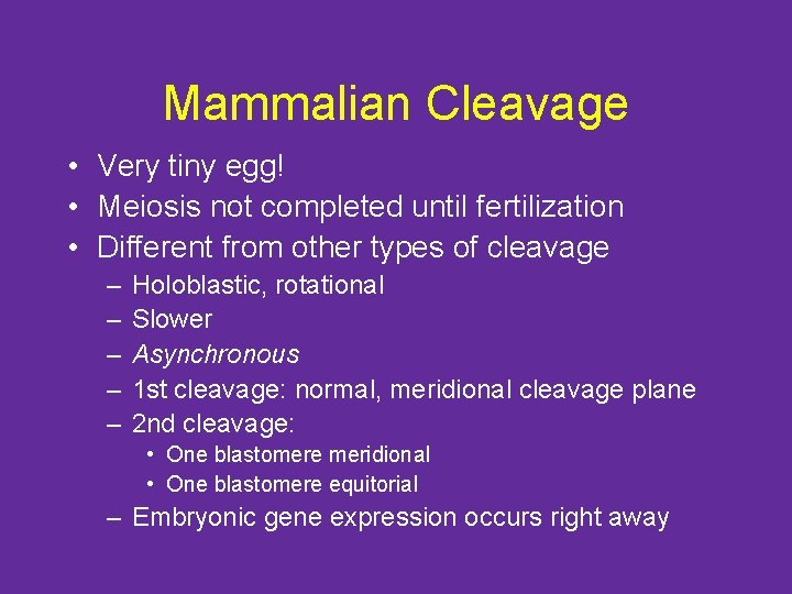 Mammalian Cleavage • Very tiny egg! • Meiosis not completed until fertilization • Different