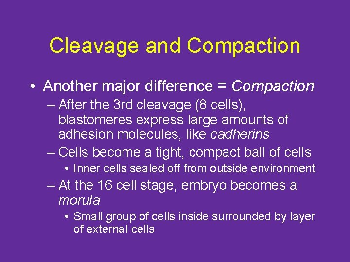 Cleavage and Compaction • Another major difference = Compaction – After the 3 rd