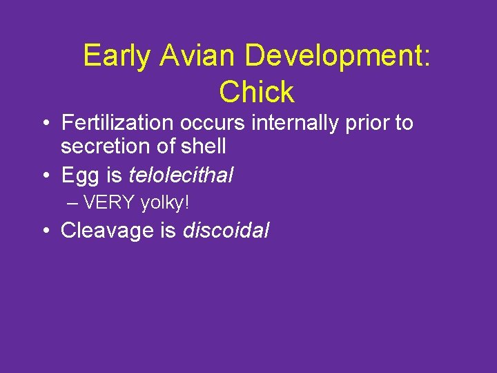 Early Avian Development: Chick • Fertilization occurs internally prior to secretion of shell •