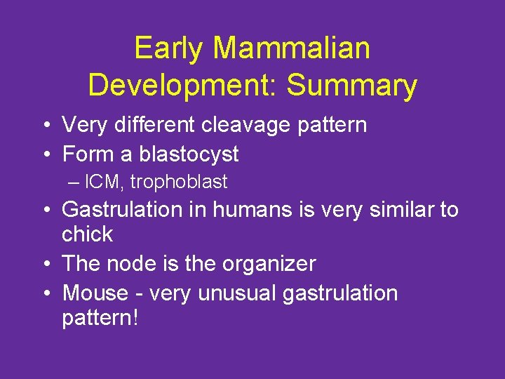 Early Mammalian Development: Summary • Very different cleavage pattern • Form a blastocyst –