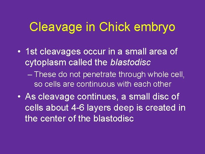 Cleavage in Chick embryo • 1 st cleavages occur in a small area of