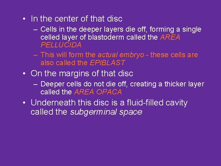  • In the center of that disc – Cells in the deeper layers