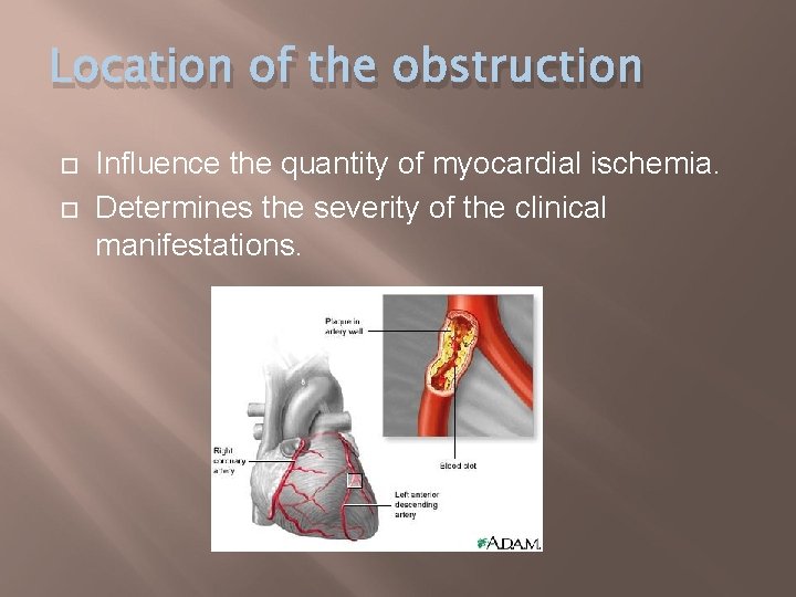 Location of the obstruction Influence the quantity of myocardial ischemia. Determines the severity of