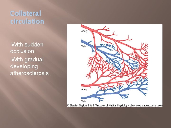 Collateral circulation • With sudden occlusion. • With gradual developing atherosclerosis. 