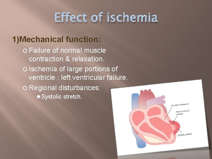 Effect of ischemia 1)Mechanical function: Failure of normal muscle contraction & relaxation. Ischemia of