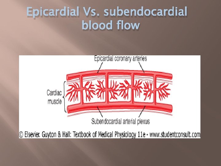 Epicardial Vs. subendocardial blood flow 