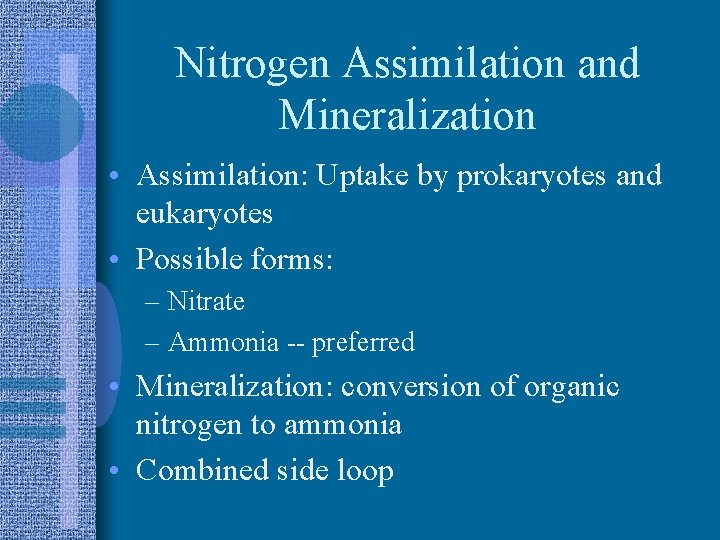 Nitrogen Assimilation and Mineralization • Assimilation: Uptake by prokaryotes and eukaryotes • Possible forms: