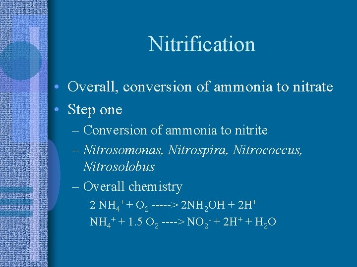 Nitrification • Overall, conversion of ammonia to nitrate • Step one – Conversion of