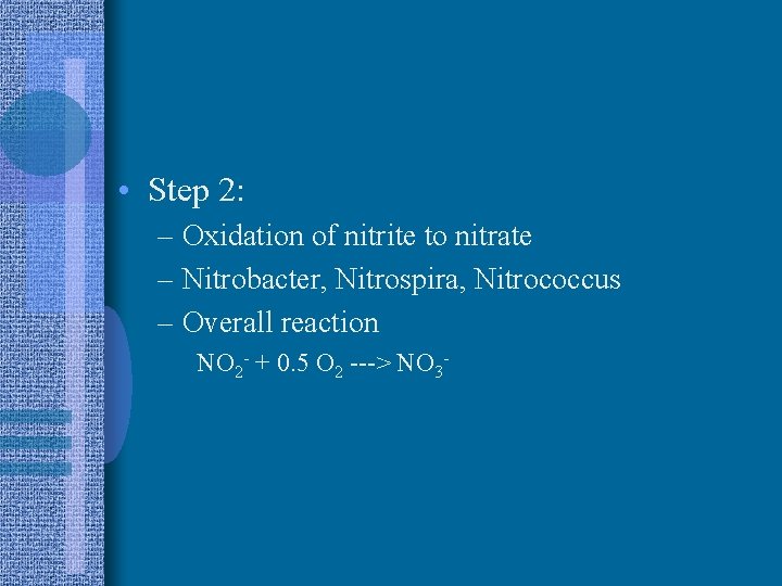  • Step 2: – Oxidation of nitrite to nitrate – Nitrobacter, Nitrospira, Nitrococcus