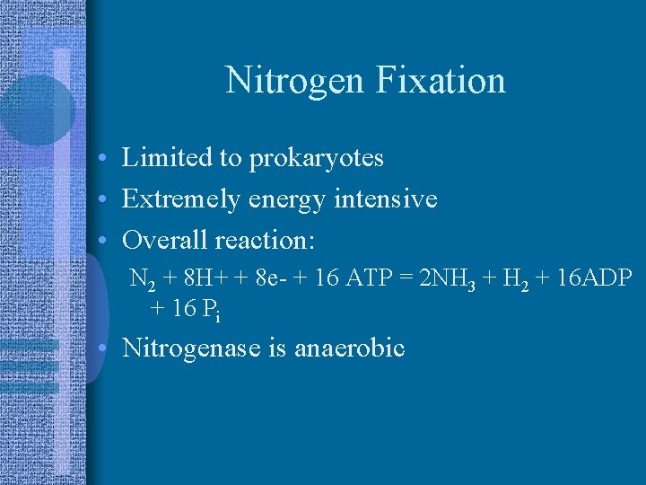 Nitrogen Fixation • Limited to prokaryotes • Extremely energy intensive • Overall reaction: N
