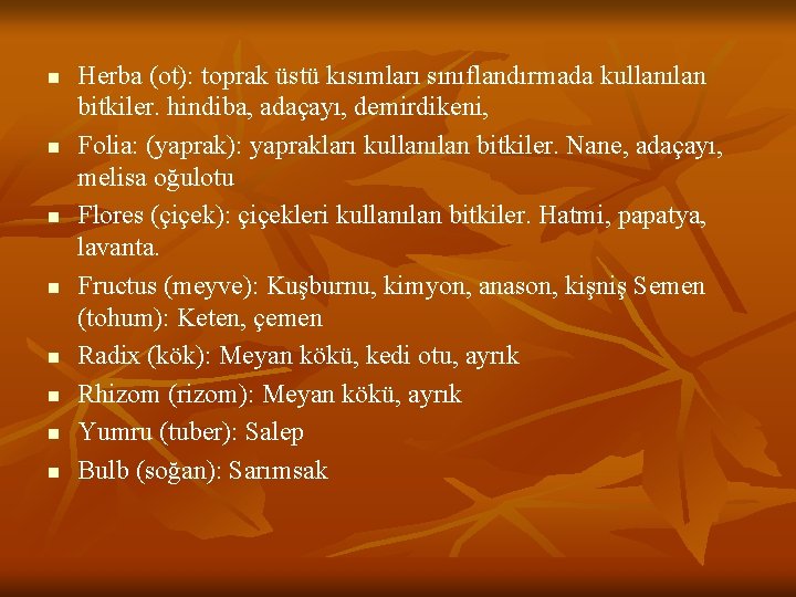 n n n n Herba (ot): toprak üstü kısımları sınıflandırmada kullanılan bitkiler. hindiba, adaçayı,