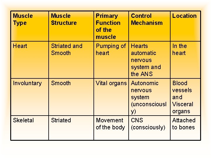 Muscle Type Muscle Structure Primary Function of the muscle Control Mechanism Heart Striated and