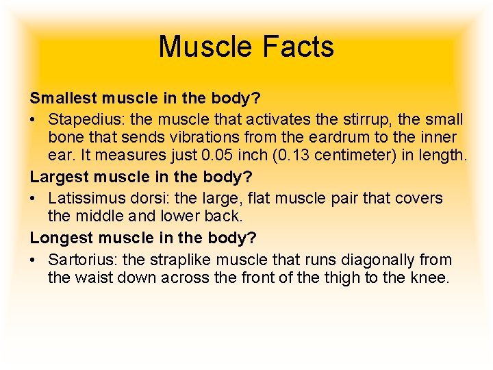 Muscle Facts Smallest muscle in the body? • Stapedius: the muscle that activates the