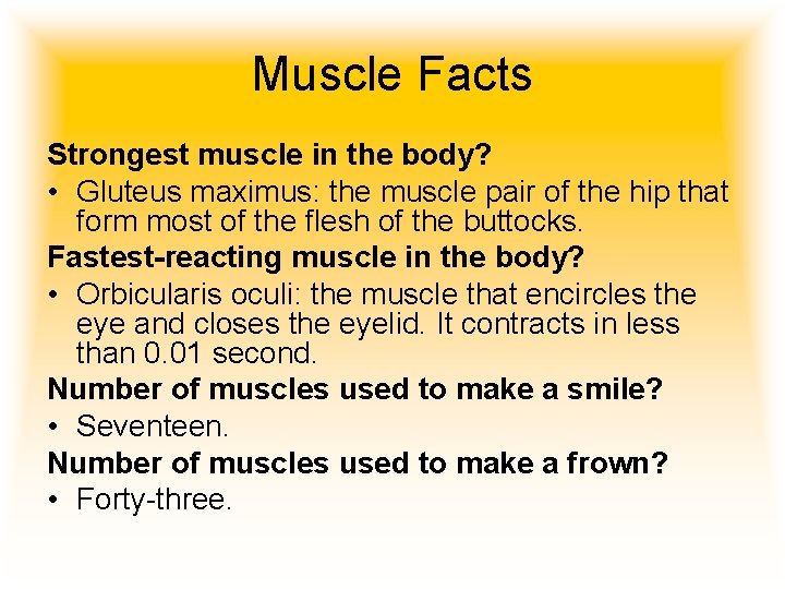 Muscle Facts Strongest muscle in the body? • Gluteus maximus: the muscle pair of