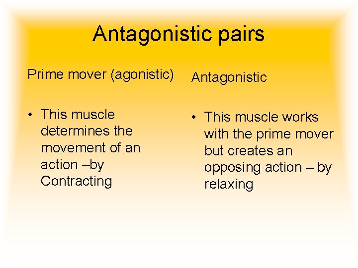 Antagonistic pairs Prime mover (agonistic) Antagonistic • This muscle determines the movement of an