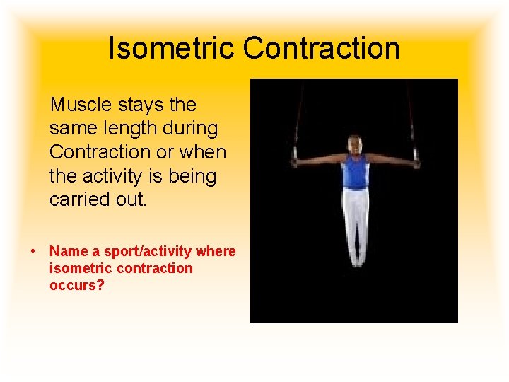 Isometric Contraction Muscle stays the same length during Contraction or when the activity is