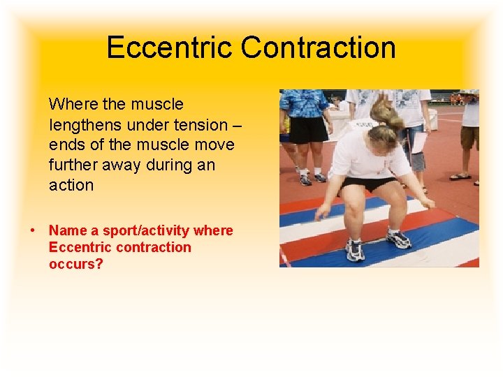 Eccentric Contraction Where the muscle lengthens under tension – ends of the muscle move