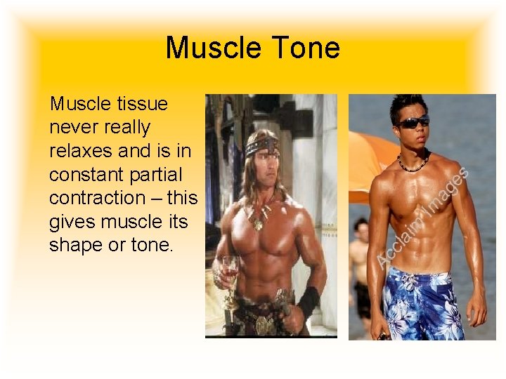 Muscle Tone Muscle tissue never really relaxes and is in constant partial contraction –