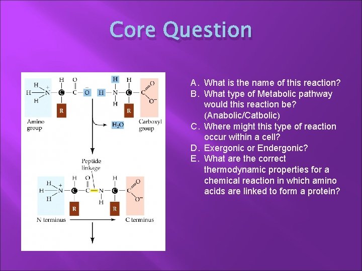 Core Question A. What is the name of this reaction? B. What type of