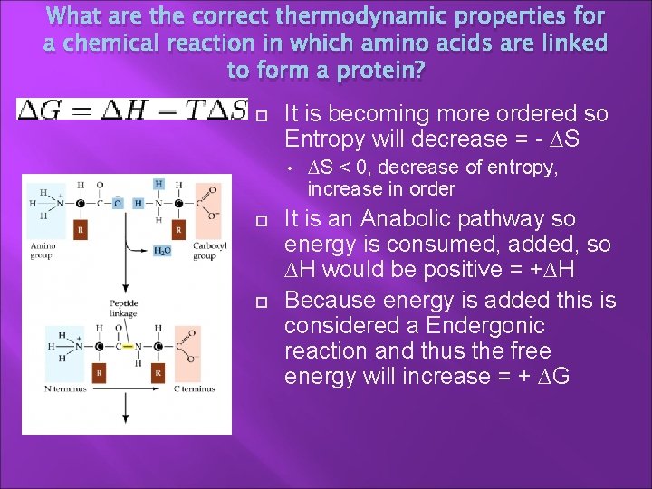What are the correct thermodynamic properties for a chemical reaction in which amino acids