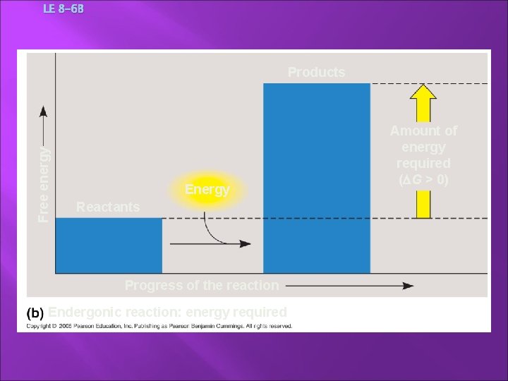 LE 8 -6 B Free energy Products Energy Reactants Progress of the reaction Endergonic