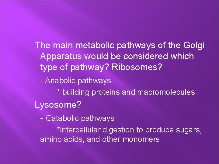 The main metabolic pathways of the Golgi Apparatus would be considered which type of