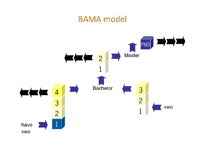BAMA model 