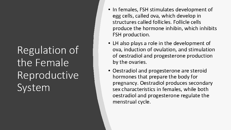 Regulation of the Female Reproductive System • In females, FSH stimulates development of egg